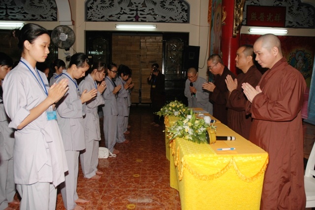Gieo Hạt Từ Tâm 14: Bảy đóa sen hồng