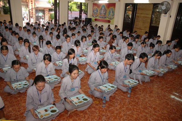 Gieo Hạt Từ Tâm 14: Bảy đóa sen hồng