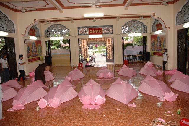 Gieo Hạt Từ Tâm 14: Bảy đóa sen hồng