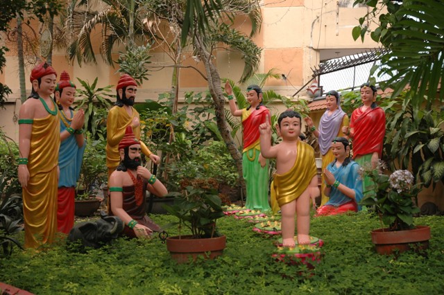 Gieo Hạt Từ Tâm 14: Bảy đóa sen hồng