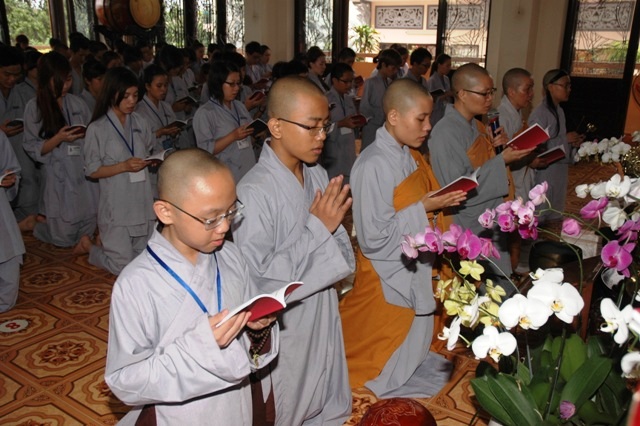 Gieo Hạt Từ Tâm 14: Bảy đóa sen hồng