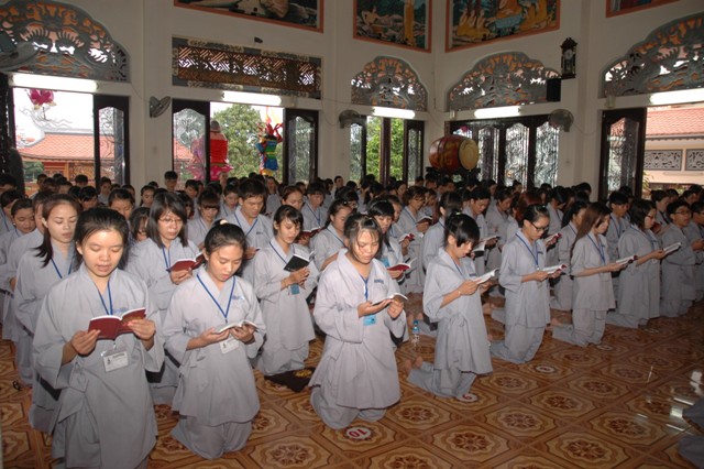 Gieo Hạt Từ Tâm 14: Bảy đóa sen hồng