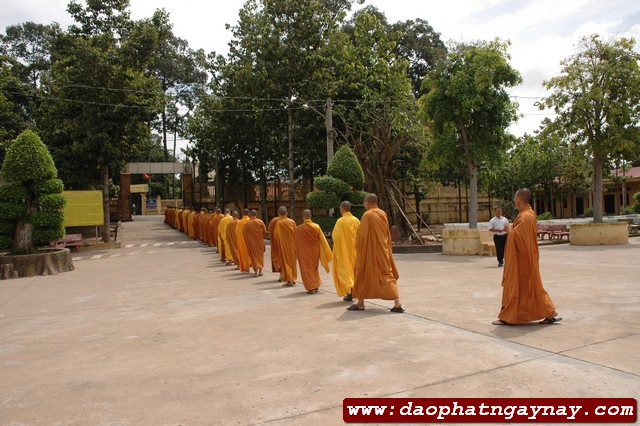 Chùm ảnh: Chư Tăng đang An cư tại trường hạ chùa Hội Khánh - Bình Dương