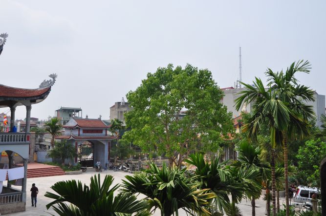 Hà Nội: Khai mạc khóa tu mùa hè tại chùa Nam Dư Thượng