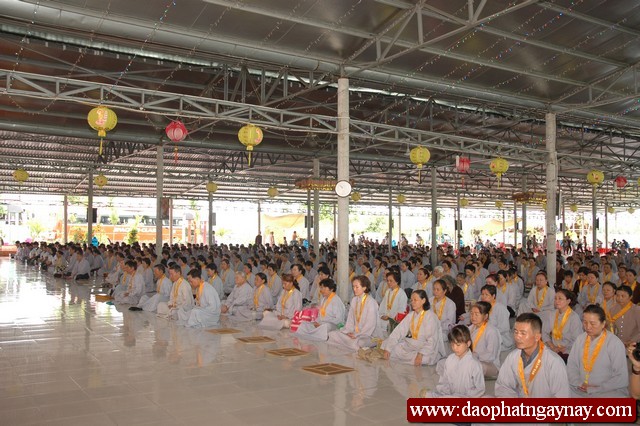 Khóa tu Gieo Hạt Từ Tâm 16: Đất thép Củ Chi