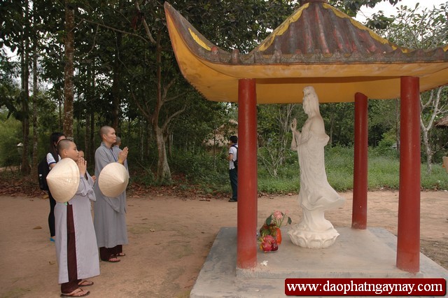 Khóa tu Gieo Hạt Từ Tâm 16: Đất thép Củ Chi