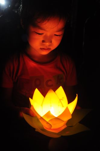 Hà Nội: Chùm ảnh đọng lại trong khóa tu mùa hè 2013 chùa Nam Du Thượng