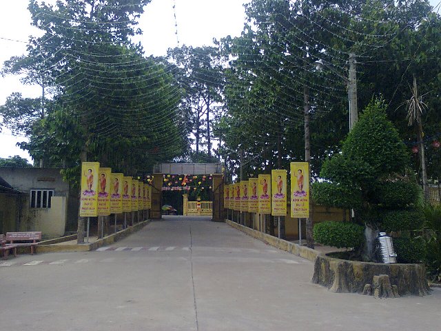 Bình Dương: 2557 liên đăng chào mừng đại lễ Phật đản sinh