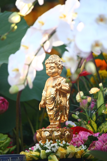 TP.HCM: Thiêng liêng đại lễ Phật đản tại chùa Phổ Quang