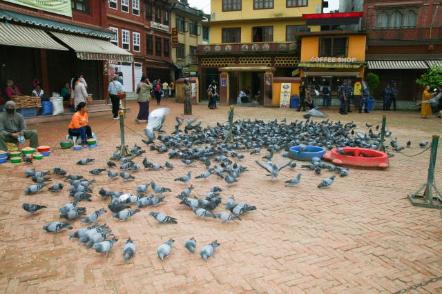 Di sản văn hóa Phật giáo tại Kathmandu - Nepal