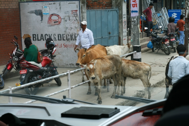 Di sản văn hóa Phật giáo tại Kathmandu - Nepal