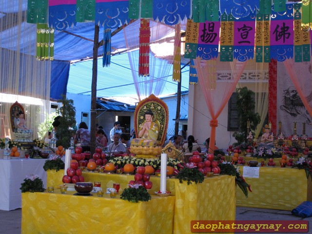 Đồng Tháp: Chùm ảnh lễ ngũ trai tuần cố ĐLHT. Thích Từ Nhơn