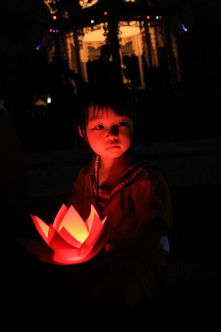 Hà Nội: Chùm ảnh đọng lại trong khóa tu mùa hè 2013 chùa Nam Du Thượng