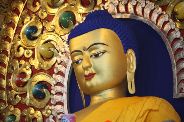 Pháp hội Dharamsala 2013 dành riêng cho người Việt Nam