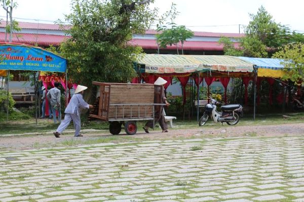 Đồng Tháp: Khởi động hội trại mùa hè “Hiểu và Thương”