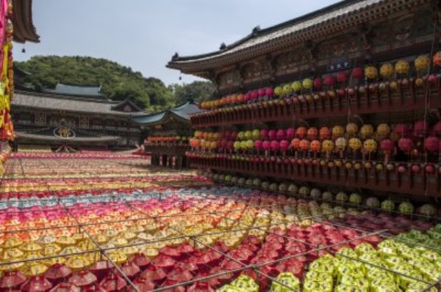 Hàn Quốc : Lễ Phật đản Ngôi chùa độc đáo Thành phố Busan