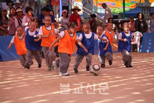 Hàn Quốc Mầm Bồ đề luôn xinh tươi chốn Thiền môn
