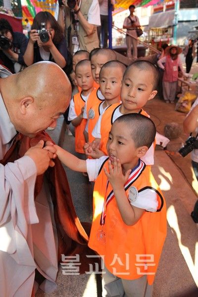 Hàn Quốc Mầm Bồ đề luôn xinh tươi chốn Thiền môn