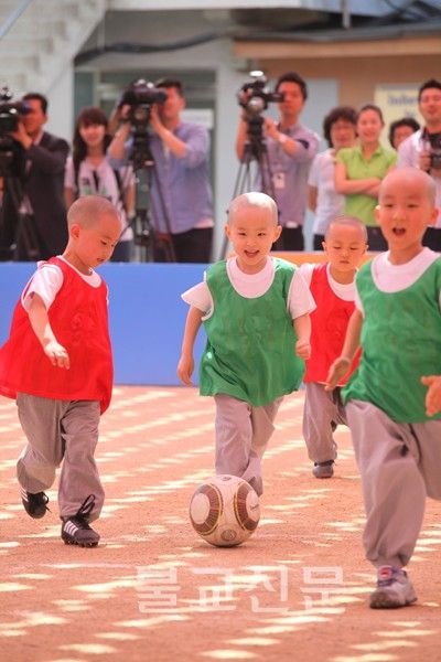 Hàn Quốc Mầm Bồ đề luôn xinh tươi chốn Thiền môn