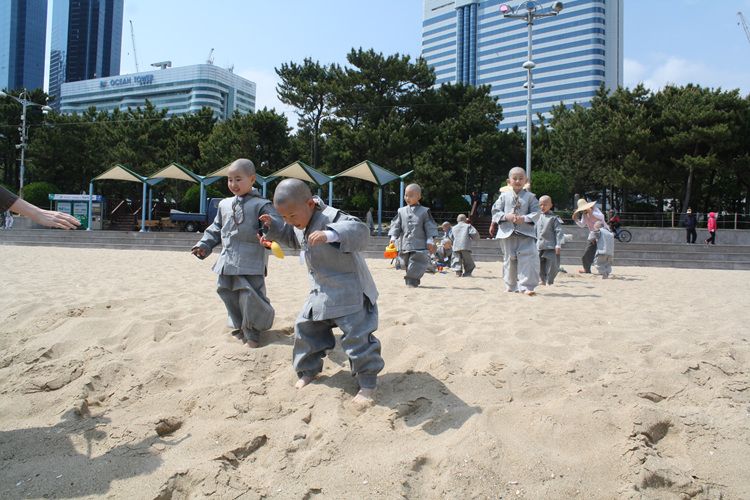 Hàn Quốc Mầm Bồ đề luôn xinh tươi chốn Thiền môn