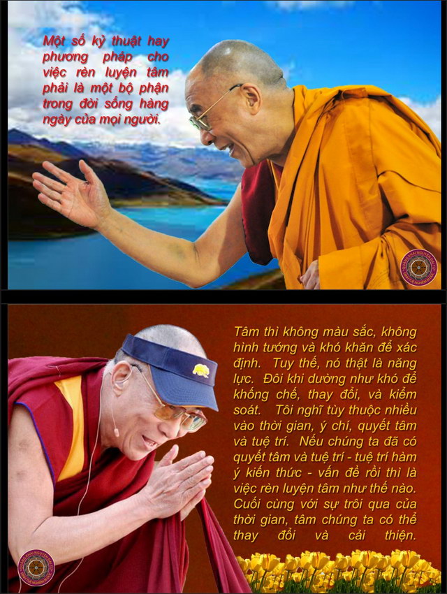 Đường đến an bình thật sự (9)