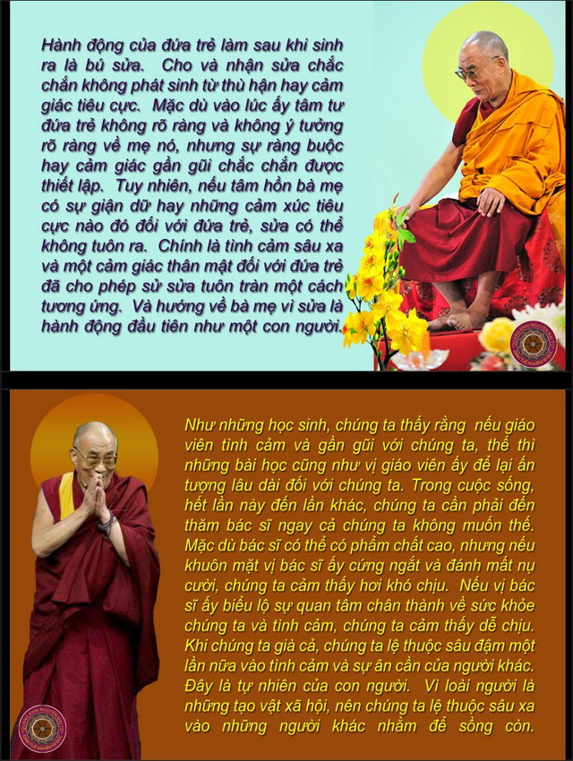 Đường đến an bình thật sự (9)