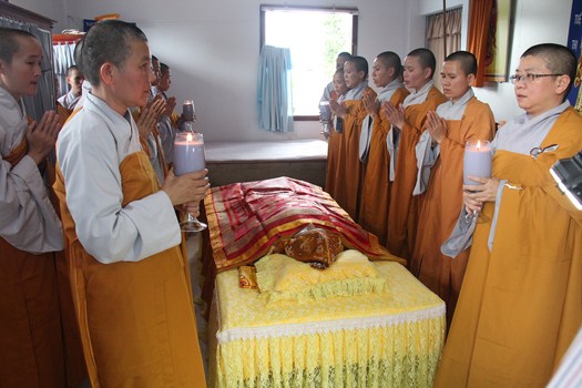 Hình Ảnh Lễ Cung Thỉnh Nhục Thân Cố Sư Trưởng Hải Triều Âm Nhập Kim Quan