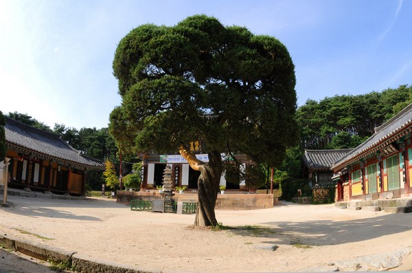 Hàn Quốc: Phụng Ni Sơn Thần Lặc Cổ Tự
