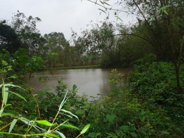 Chờ Bão Haiyan Số 14
