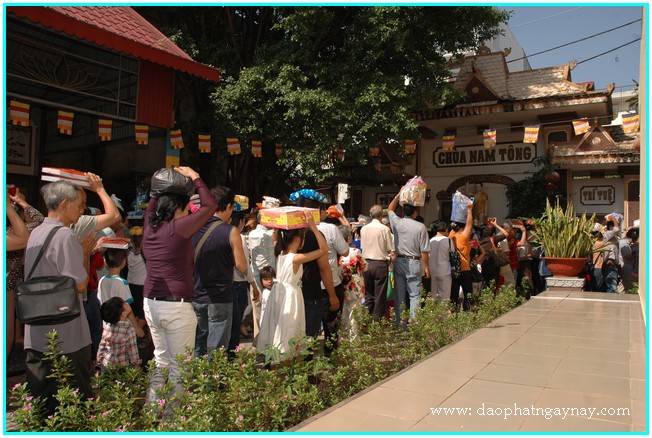 TP. HCM: Đại lễ dâng y Kathina - Phật giáo Nam truyền