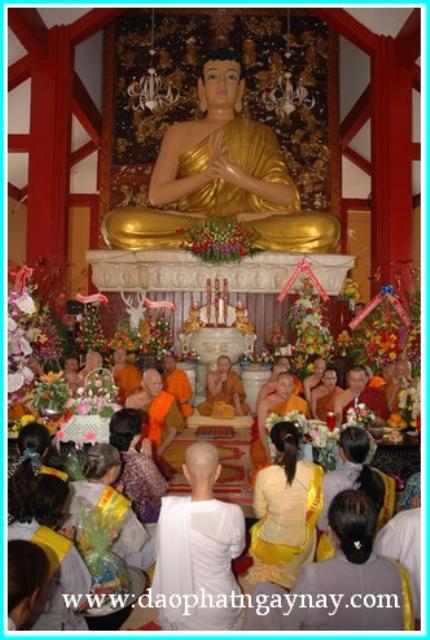 Vũng Tàu: Chùm Ảnh: Đại Lễ Dâng Y Kathina Tại Chùa Hộ Pháp