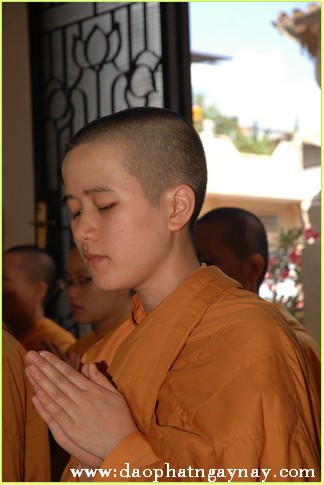 TP. HCM: Lễ Giải Chế An Cư tại hạ trường tịnh xá Ngọc Phương PL. 2557