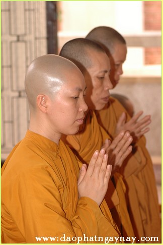 TP. HCM: Lễ Giải Chế An Cư tại hạ trường tịnh xá Ngọc Phương PL. 2557