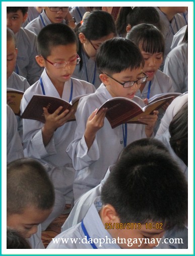 Khóa tu Gieo Hạt Từ Tâm 17: Mẹ yêu
