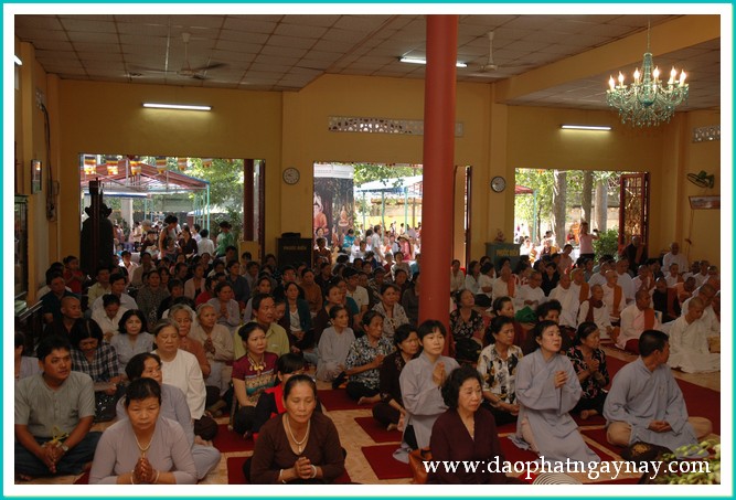 TP. HCM: Sinh hoạt an cư kiết hạ Phật giáo Nam Tông người Kinh