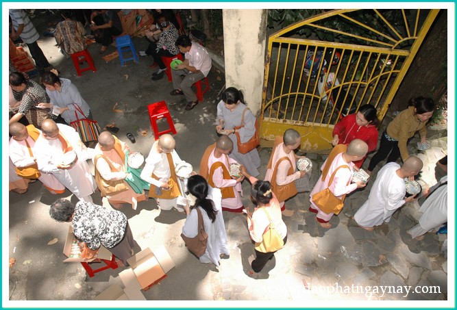 TP. HCM: Sinh hoạt an cư kiết hạ Phật giáo Nam Tông người Kinh