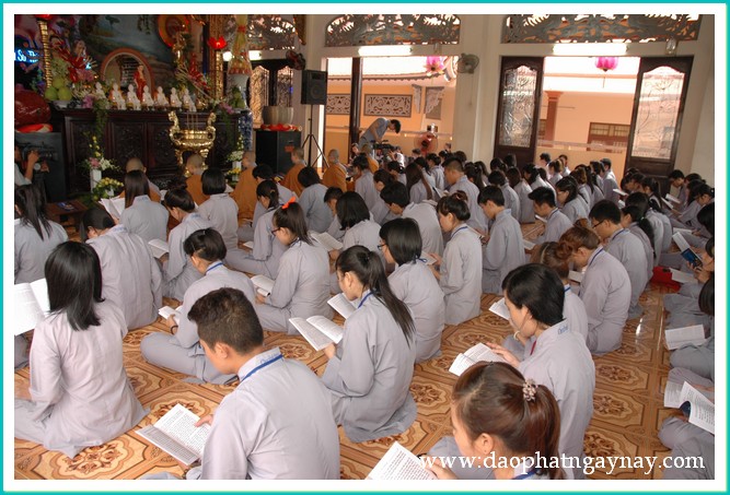 Khóa tu Gieo Hạt Từ Tâm 18: Xin đừng bỏ con