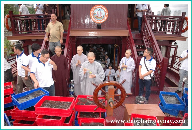 Khóa tu Gieo Hạt Từ Tâm 18: Xin đừng bỏ con