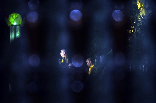 Bông hồng cài áo dưới Đại bảo tháp cao nhất Việt Nam