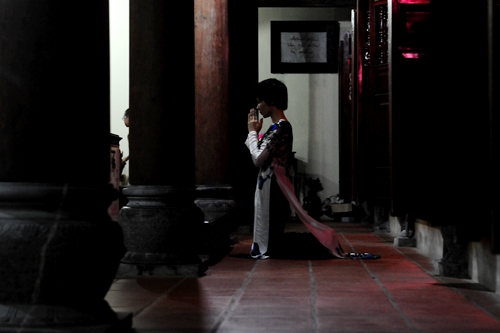 Bông hồng cài áo dưới Đại bảo tháp cao nhất Việt Nam