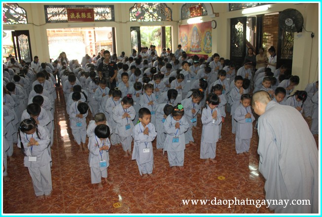 Khóa tu Gieo Hạt Từ Tâm 19: Bé yêu muôn loài