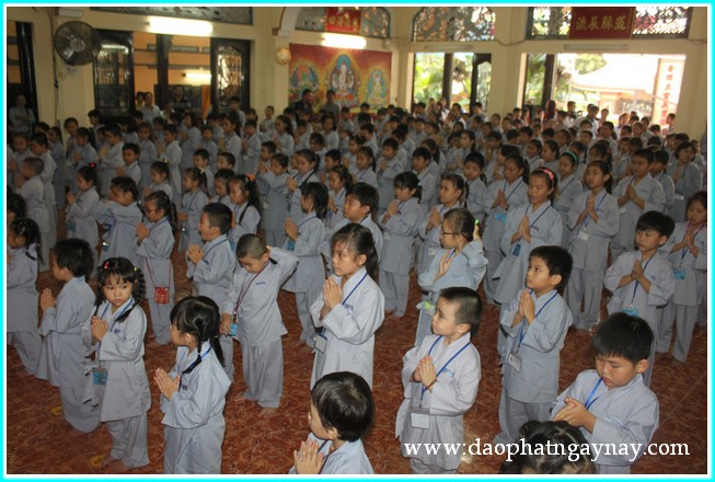 Khóa tu Gieo Hạt Từ Tâm 19: Bé yêu muôn loài