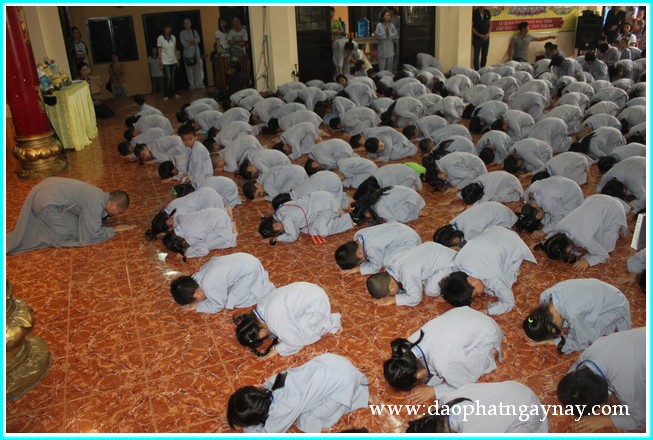 Khóa tu Gieo Hạt Từ Tâm 19: Bé yêu muôn loài