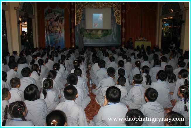 Khóa tu Gieo Hạt Từ Tâm 19: Bé yêu muôn loài