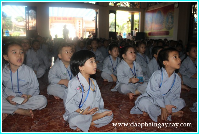 Khóa tu Gieo Hạt Từ Tâm 19: Bé yêu muôn loài