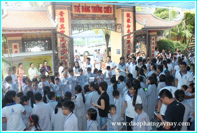 Khóa tu Gieo Hạt Từ Tâm 19: Bé yêu muôn loài