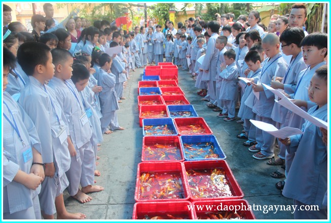 Khóa tu Gieo Hạt Từ Tâm 19: Bé yêu muôn loài