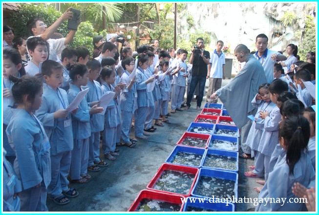 Khóa tu Gieo Hạt Từ Tâm 19: Bé yêu muôn loài