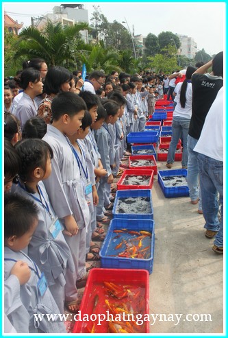 Khóa tu Gieo Hạt Từ Tâm 19: Bé yêu muôn loài