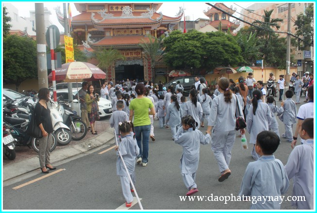 Khóa tu Gieo Hạt Từ Tâm 19: Bé yêu muôn loài